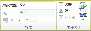Access 功能區(qū)圖像